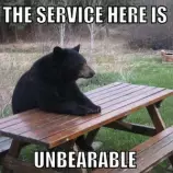 service.jpg