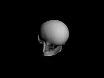 skulspin.gif
