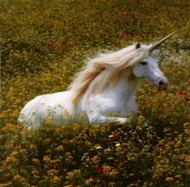 unicorn80105en.jpg