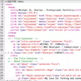 webdev.png