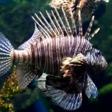 img/carp/Multimedia/img19.jpg