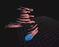 images/proprioloop.jpg