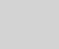 img/gray2.png