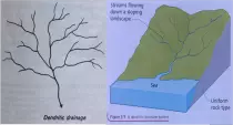 Geolync/Images/dentritic Drainage.png