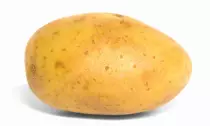 img/Algo.jpeg