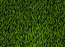 cpp/assets/base-texture.png