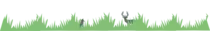 gras.png
