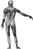 218/img-pointer-guy-sm.png