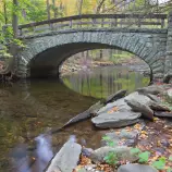 images/bridge.png