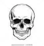folder_html/images.jpg