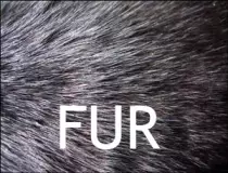 fur.jpg