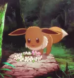 image/ABOUT.gif