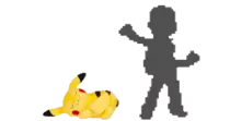 image/standardsize.png