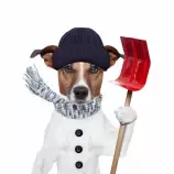 img/freezing.jpg
