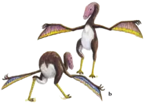 image3.png