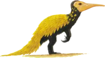 image5.png