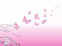 meng/pink.jpg