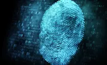 Forensic.jpg