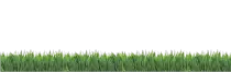 Modulo_3/1/Cesped.png