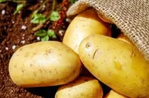 Potato Lab/Image/potatoes.jpeg