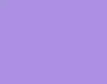 kittenpurple.png